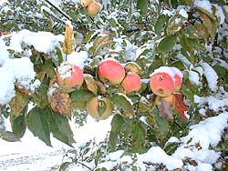 Zima na Mazurach - 22-10-2003